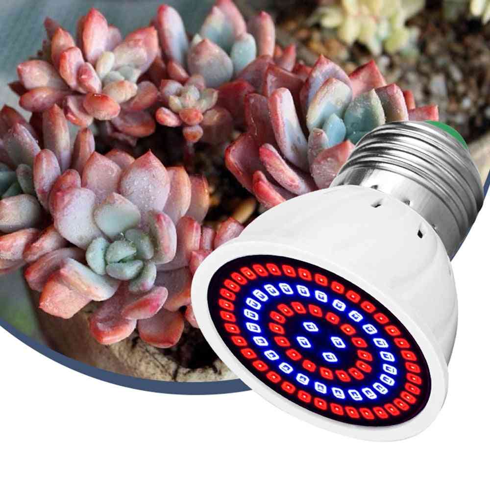 LED wachsen Glühbirne für Zimmerpflanzen, Vollspektrum Lampe Garten dekorieren - 48 LED 220V / E27