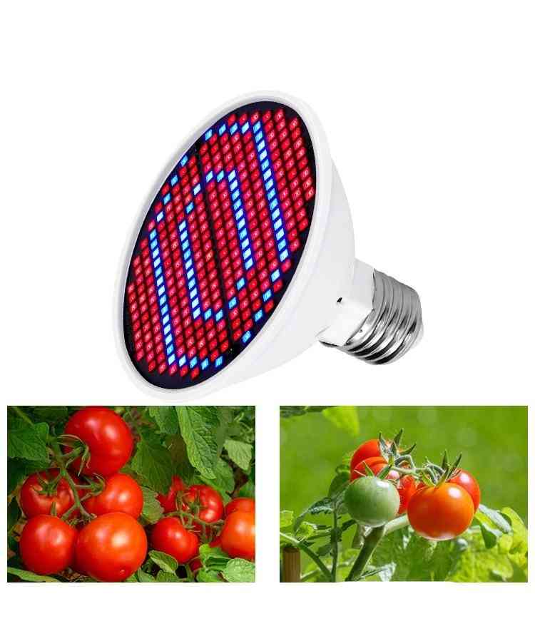 LED wachsen Glühbirne für Zimmerpflanzen, Vollspektrum Lampe Garten dekorieren - 48 LED 220V / E27