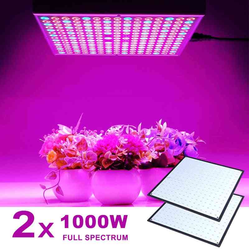 2pcs 1000W LED d'intérieur à spectre complet élèvent la lampe pour la lumière de croissance des plantes, tente Fitolampy Phyto UV IR, graines de fleurs à LED - 3 pièces / prise UE