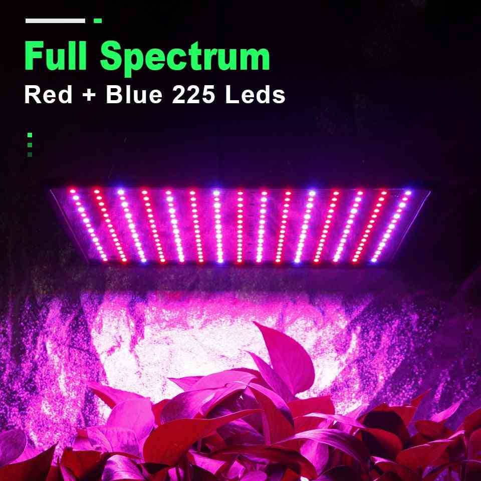 светодиодни растат светлина - растителни лампи с пълен спектър