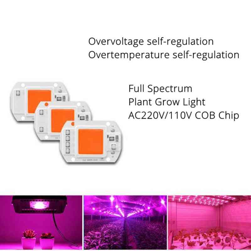 Ledet cob fullspektrum chip 20w 30w 50w ac220v / 110v plante vokse lys ledet
