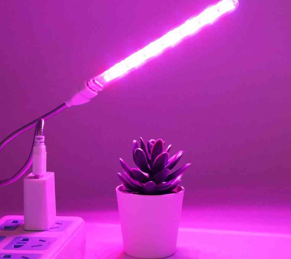 Dc5v led צמח גידול-מנורת נורות 24 