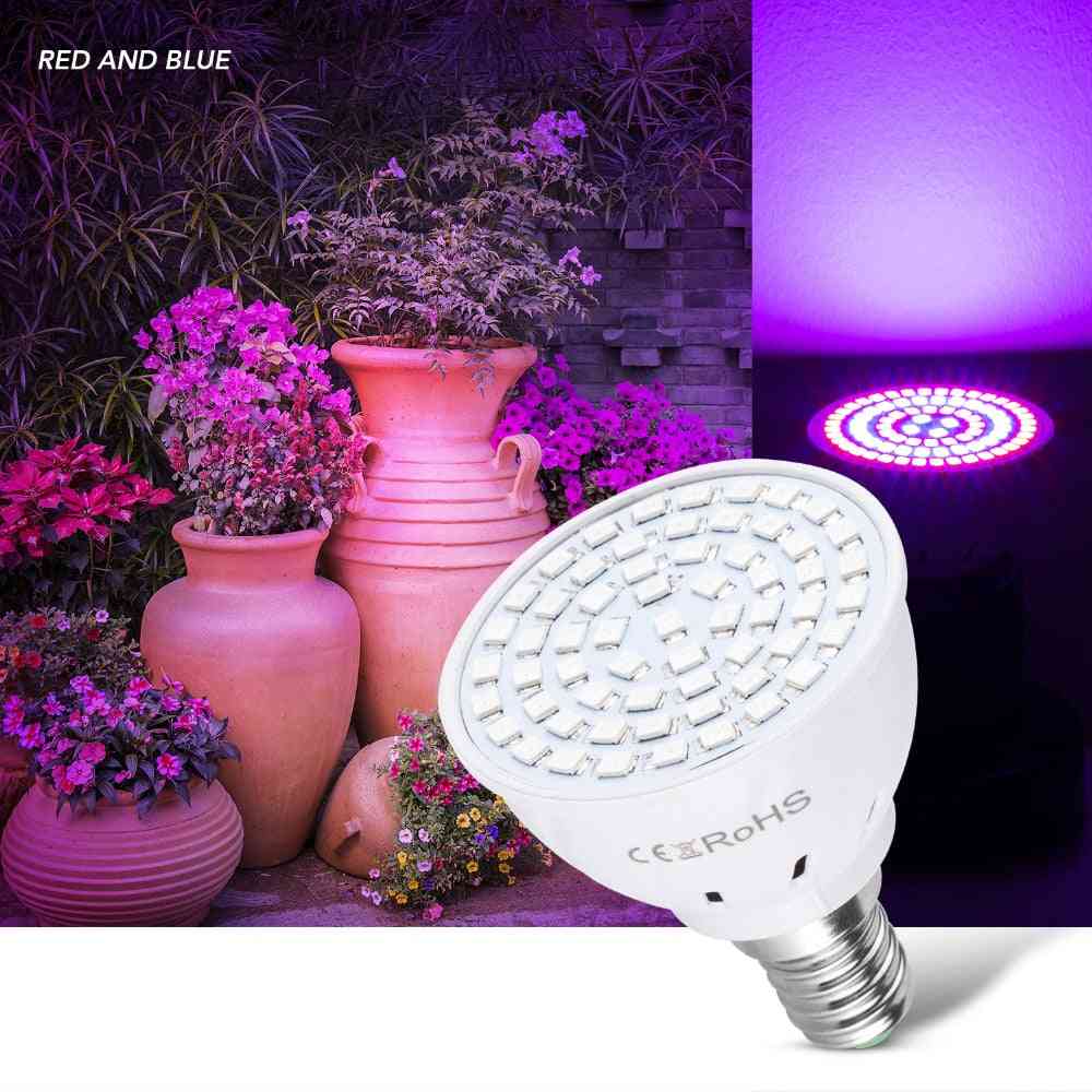 80-LED 220-V-LED-Wachstumslampe, LED-Pflanzenwachstumslampe mit vollem Spektrum, Innenbeleuchtung Pflanzen e27 Hydroponiksystem