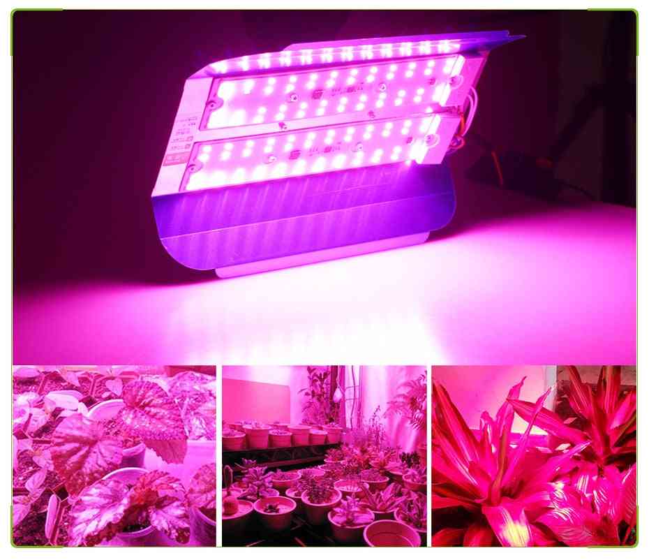 Ledt växande ljus, fullspektrum vattentäta cob odlingslampor för växter blommor