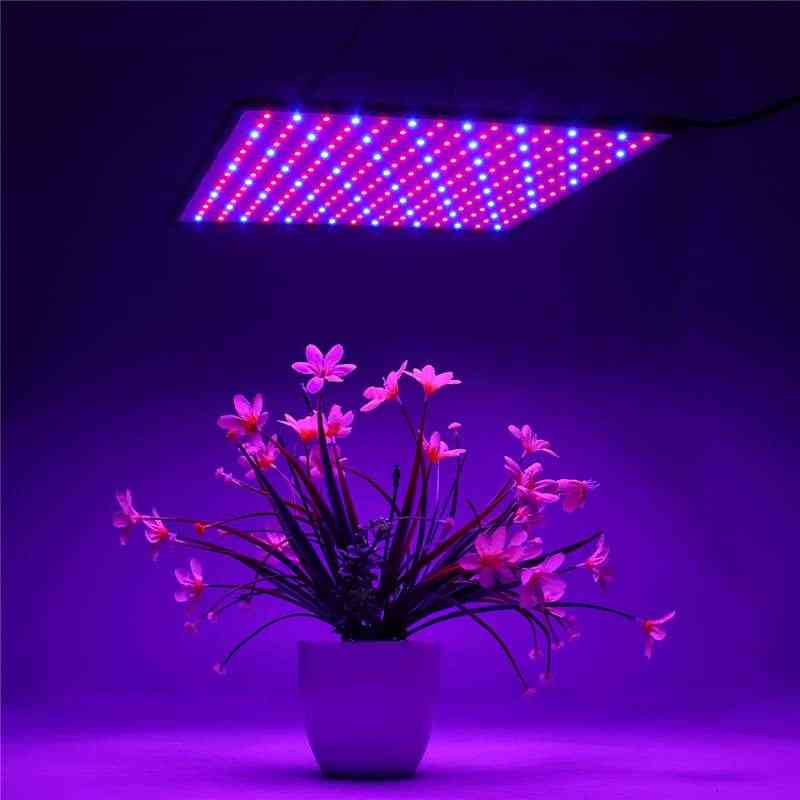 1500w-spectru complet, plantele led cresc lumină pentru seră