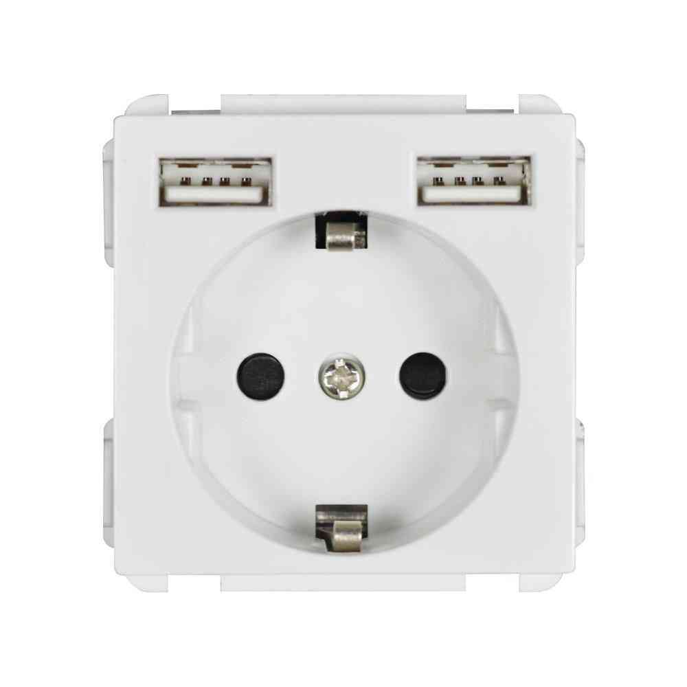 Standard Module  Socket With Two Usb Output  (52mm*52mm )