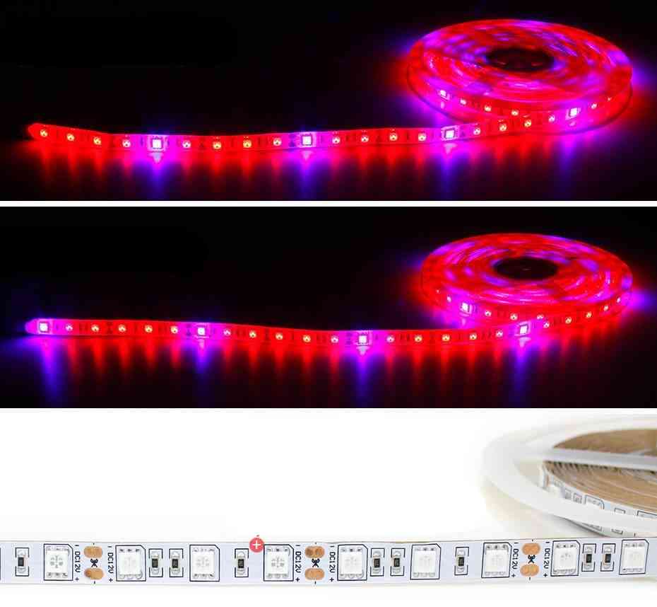 5 м led light light лента с пълен спектър UV, водоустойчива фито лента с адаптер и превключвател за оранжерия
