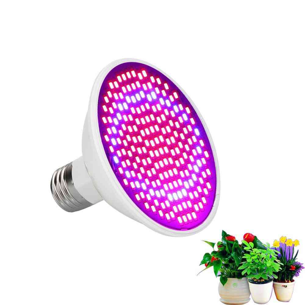 Plante à LED cultive des ampoules pour serre intérieure- (dc 85v-265v, 50/60 Hz, 200leds)