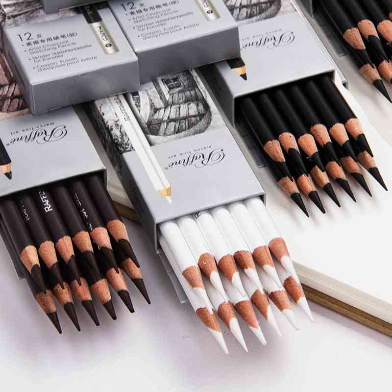 Pencil Professional Sketch Highlights, Art Students, Artist Beginner, Hand-painted Painting Set