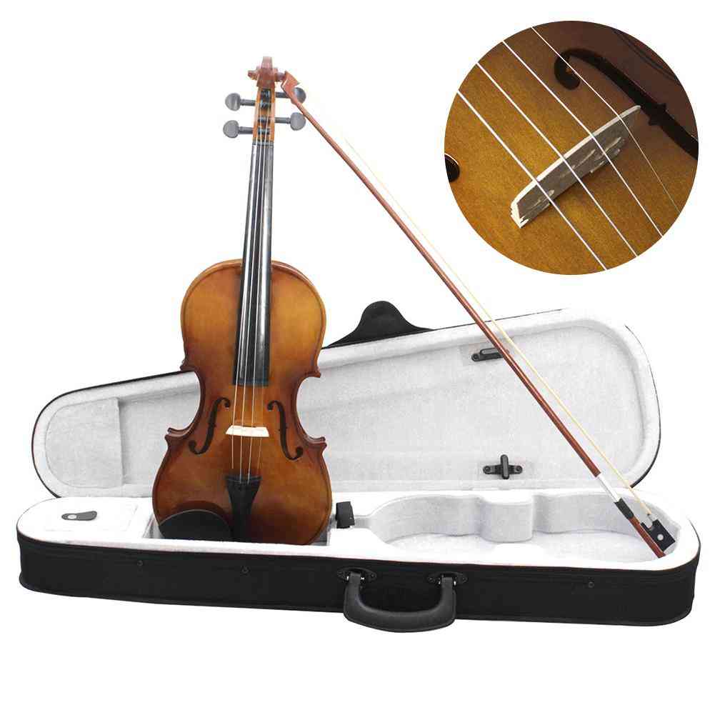 Violin Full Size Vintage With Case Rosin Bow Strings Student Beginner Learning Tool With Tough Plastic Panel