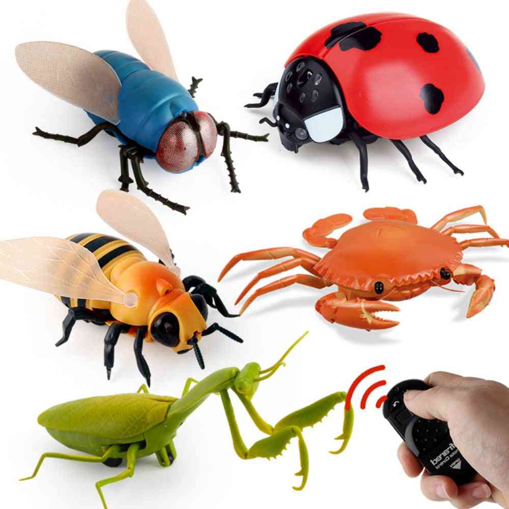 Infrared Rc Animal Insect, Simulation Spider, Bee Fly Electric Robot
