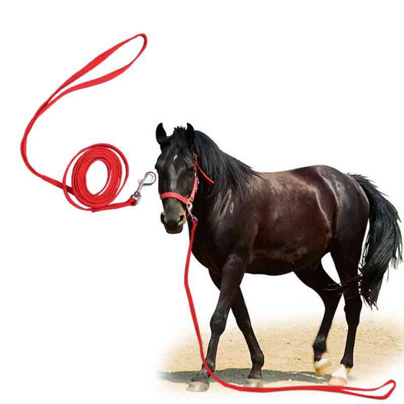 Halfter Pferdezügel Reitausrüstung für Pferdezaumzeug mit Gebiss und festem Zügelgürtel (rot)