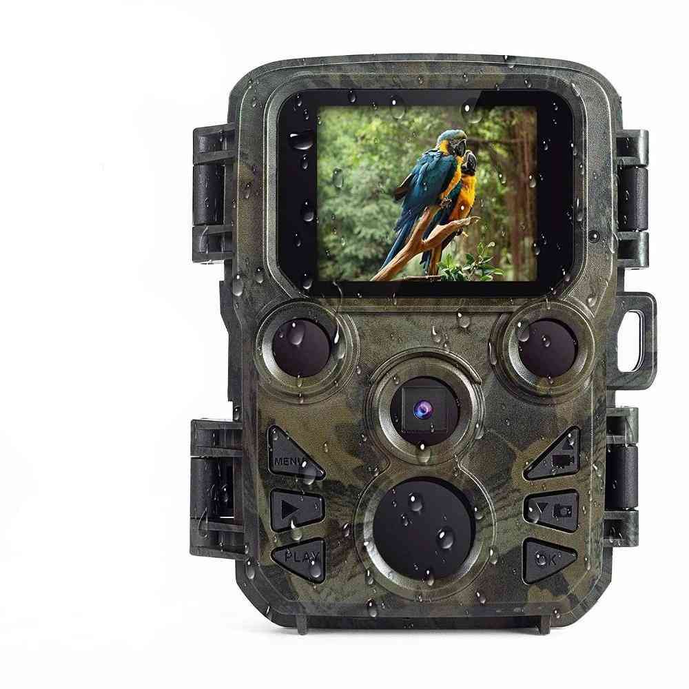 Caméra de surveillance de la faune full hd avec vision nocturne
