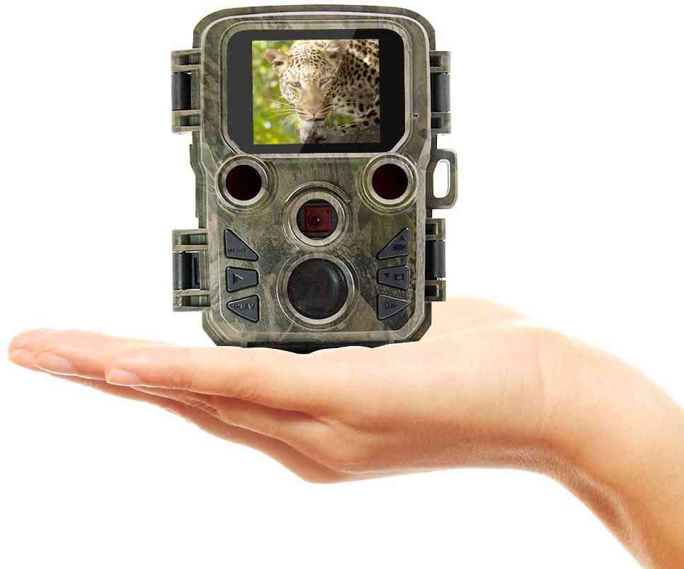 Full Hd Wildlife Scout Camera With Night Vision
