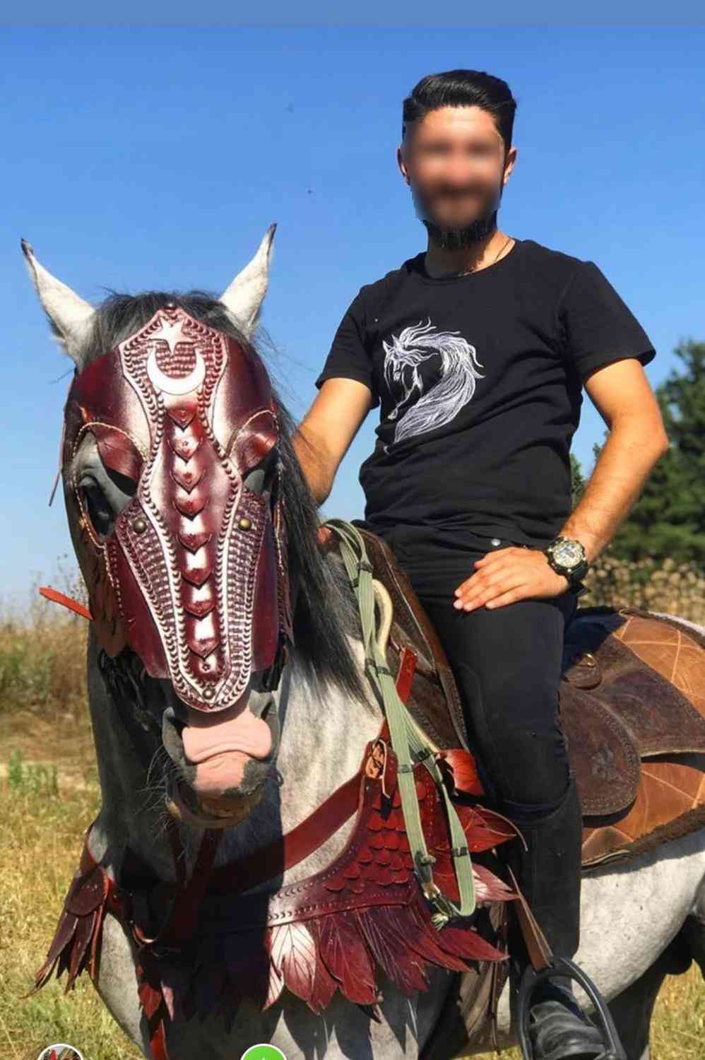 תחפושת שריון צווארון סוס עור, חבית רצועת קוצים עם סוס לוחם