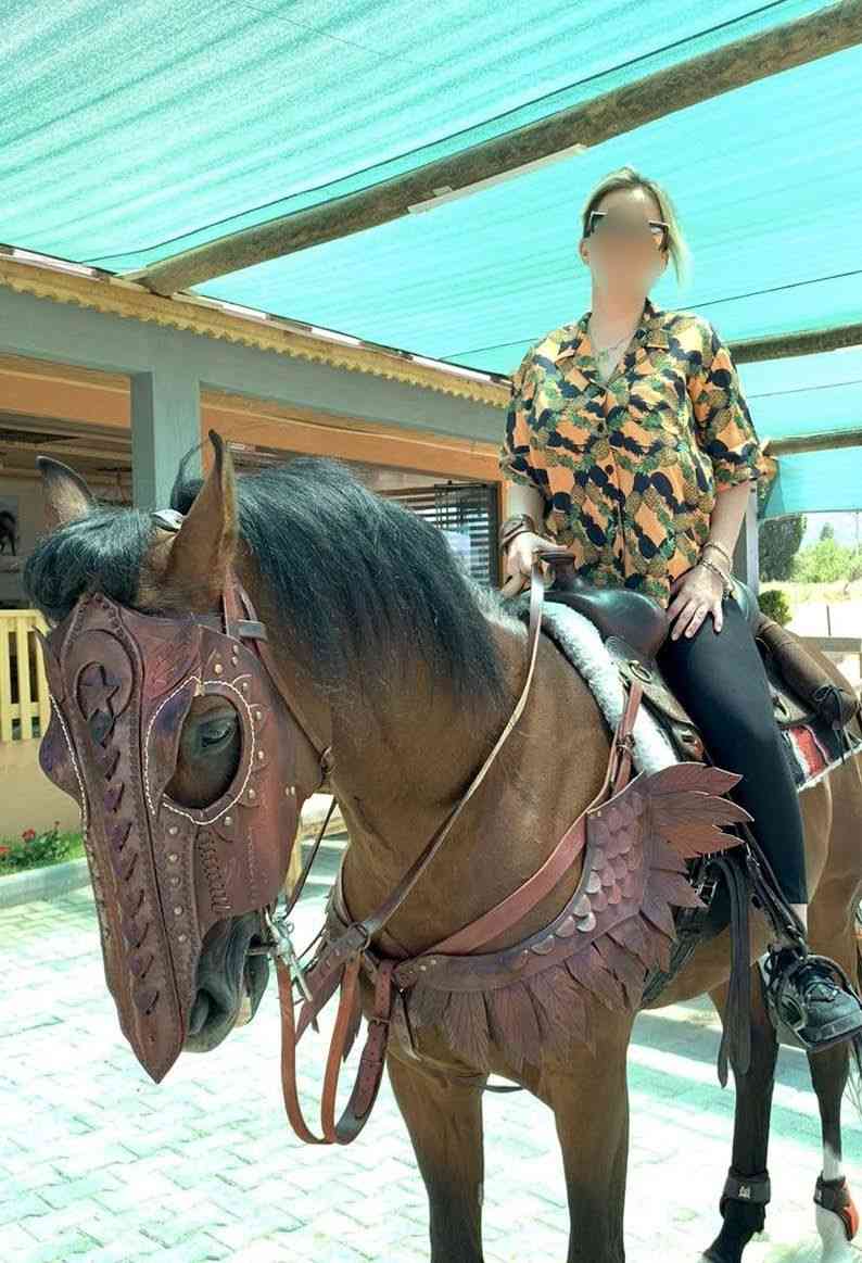 תחפושת שריון צווארון סוס עור, חבית רצועת קוצים עם סוס לוחם