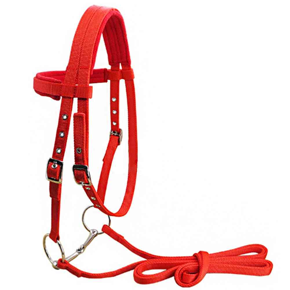 Adjustable Horse Halter-riding Equipment