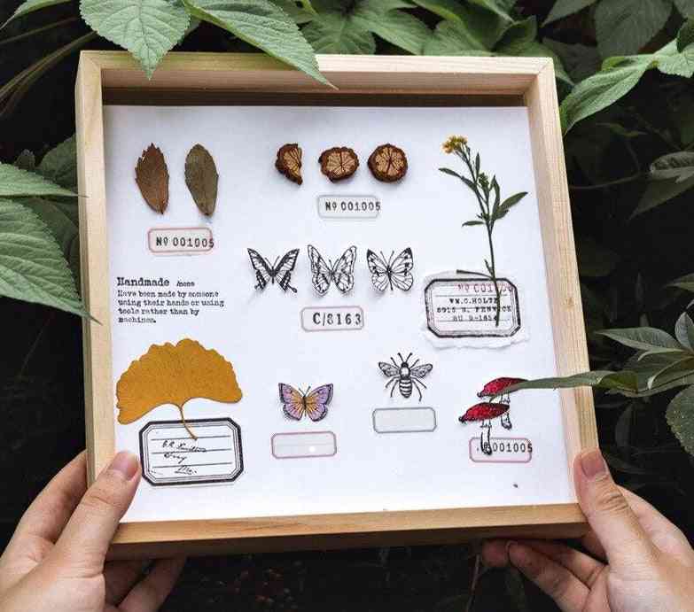 Vintage skog herbarium serie frimerker, kreativ sommerfugl plante for skrap booking dekor håndverk