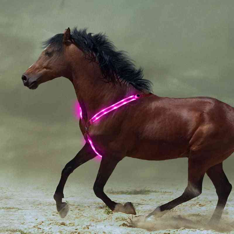 Pettorale a doppio led in nylon, attrezzatura per equitazione visibile di notte, cintura da equitazione da corsa