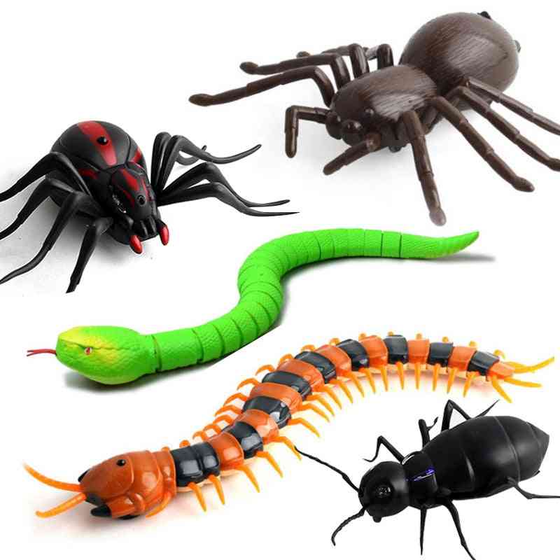 Rc fjärrkontroll djur leksakssats för barn vuxna, smart kackerlacka spindel orm insekt