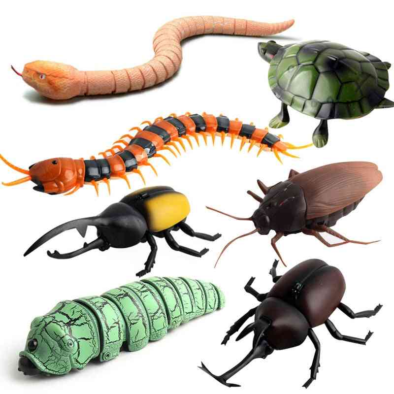 Kit de brinquedo animal de controle remoto rc para crianças adultos, inseto inteligente, barata, aranha, cobra, formiga
