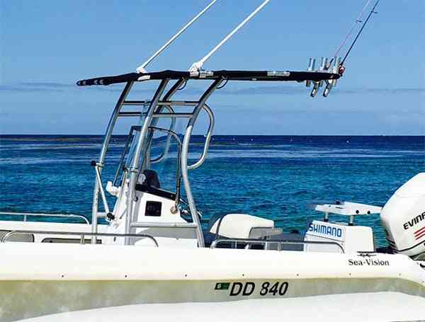 Dolphin Pro2 Boat T-top & Fishing Rod Rocket Launcher