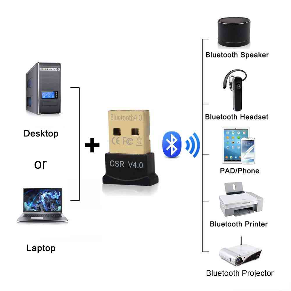 Bluetooth mini usb sans fil, adaptateur double mode, dongle pour Windows, bit framboise