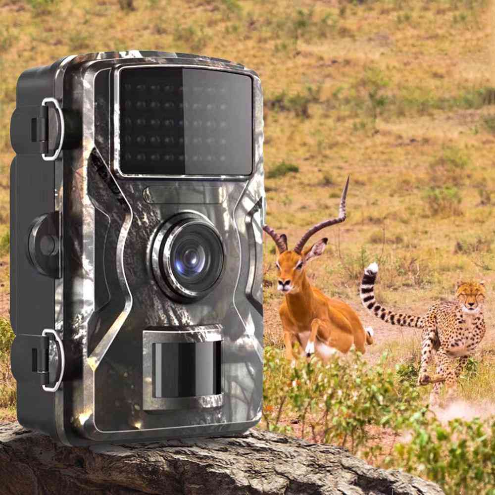 Dl-100 שביל יער מצלמת בר, משחק מעקב, ראיית לילה, מצלמת ציד