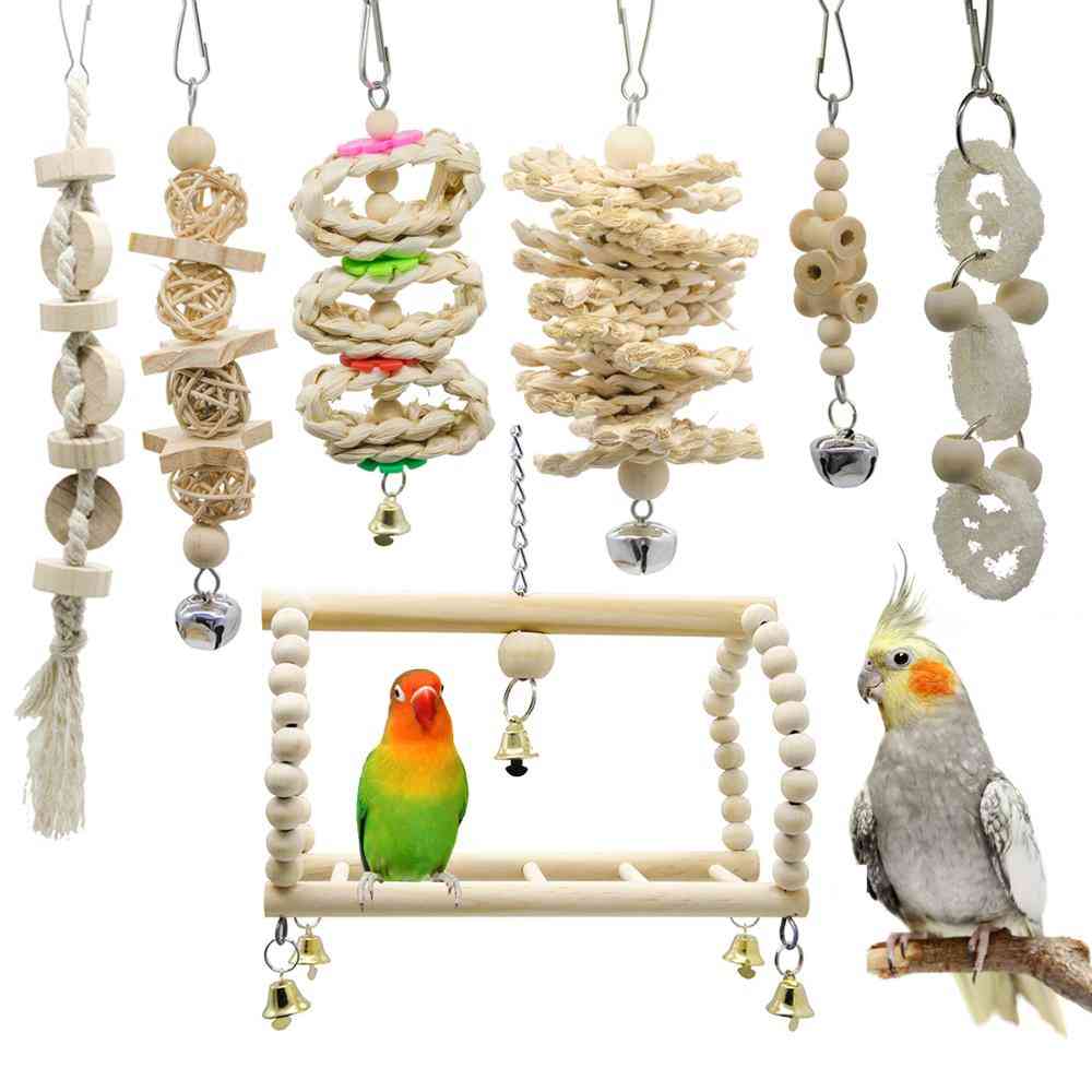 Bird Cockatiel Parrot And Accessories