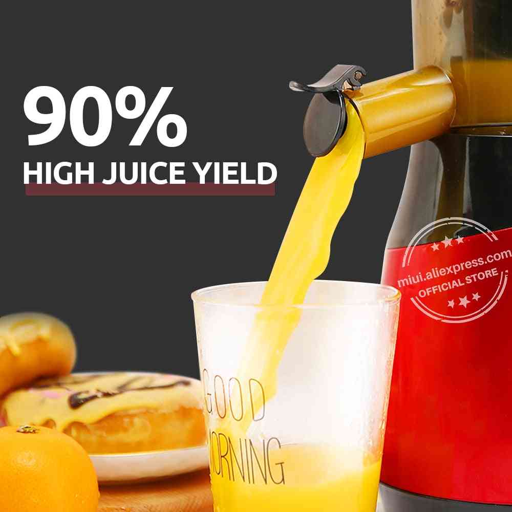 Mini Cold Press Extractor, Patented, Electric Fruit & Vegetable Juicer Machine