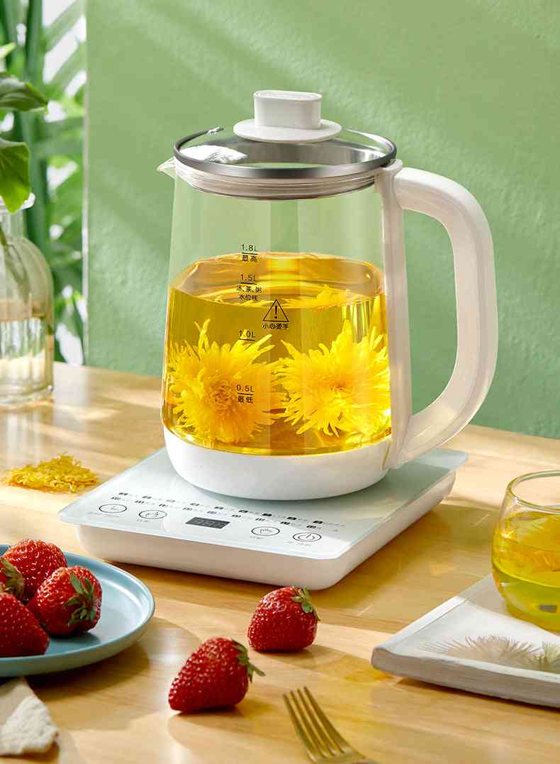 Multifunction Electric Kettle, Glass Pot Stew Heater For Hot Water