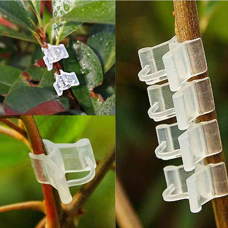 Plastic Plant Support Clips For Fixed Vegetables / Garden Ornament