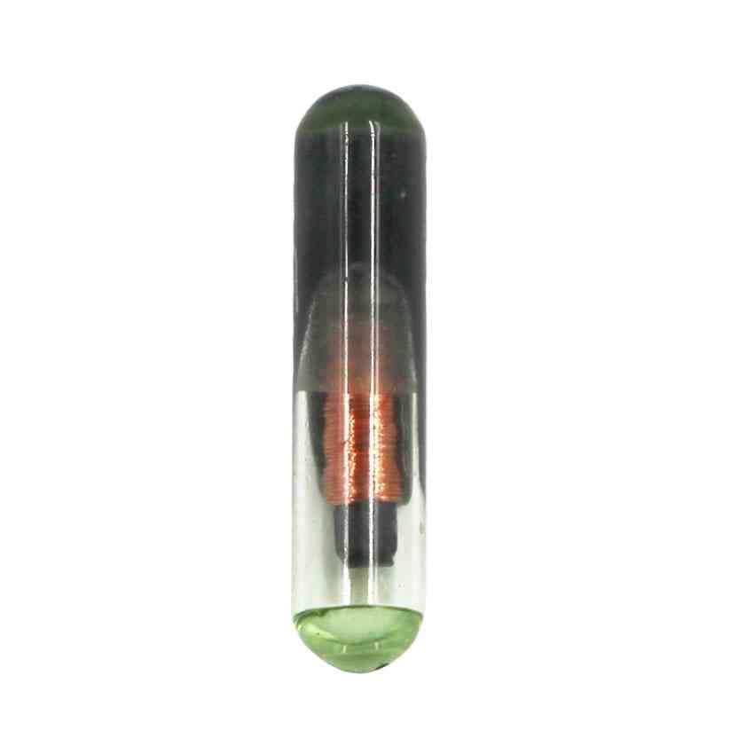 Chip transponder in vetro vergine vergine