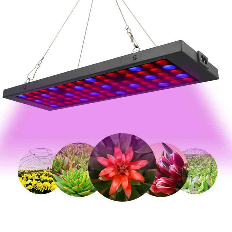 600w Led Plant Grow Light Lamp, Full Spectrum Plant Floodlight