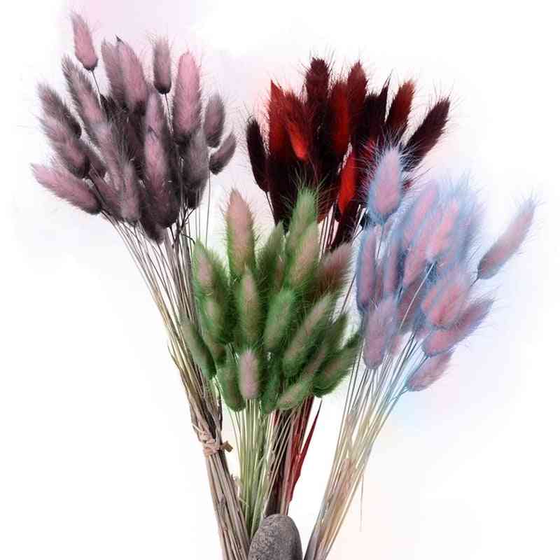 Rabbit Tail Grass, Gradient Natural, Dried Flowers Bouquet For Home Decoration
