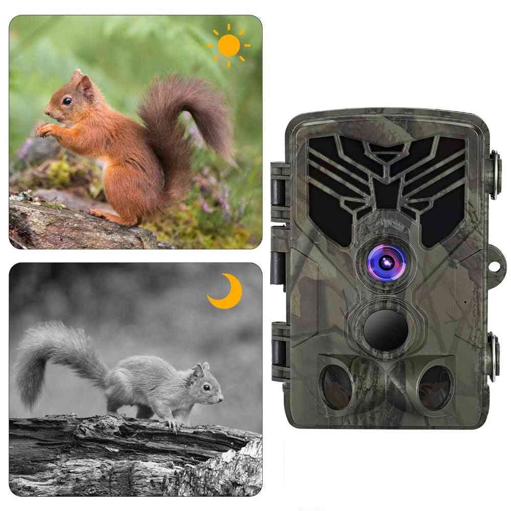 Live-Show Wild Trail-Kamera, WLAN, Bluetooth-Steuerung, Nachtsichtfallen Fotofallen