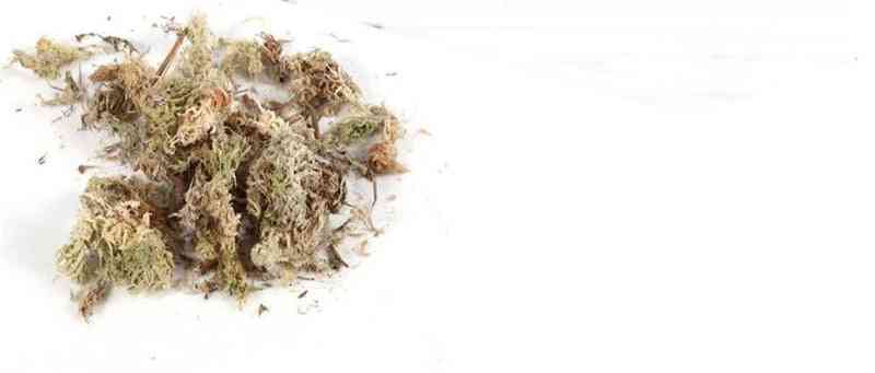 Sphagnum Dry Moss Garden Moisturizing Nutrition Organic Fertilizer