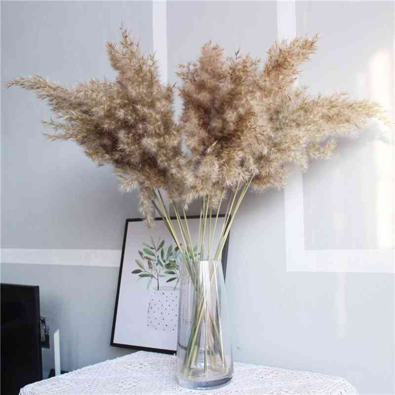 Dried Pampas Grass Bunch Pure Natural Reed Flowers
