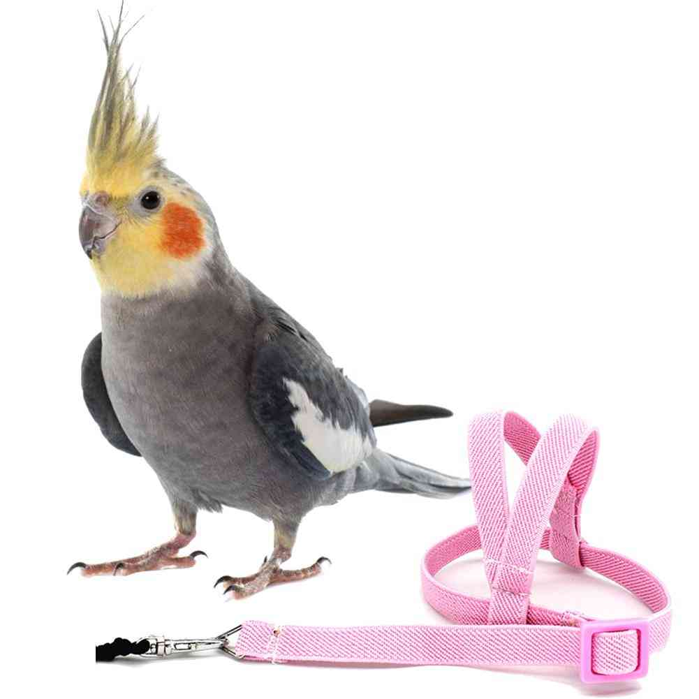 Anti-bite Flying Training Rope, Parrot, Bird, Leash