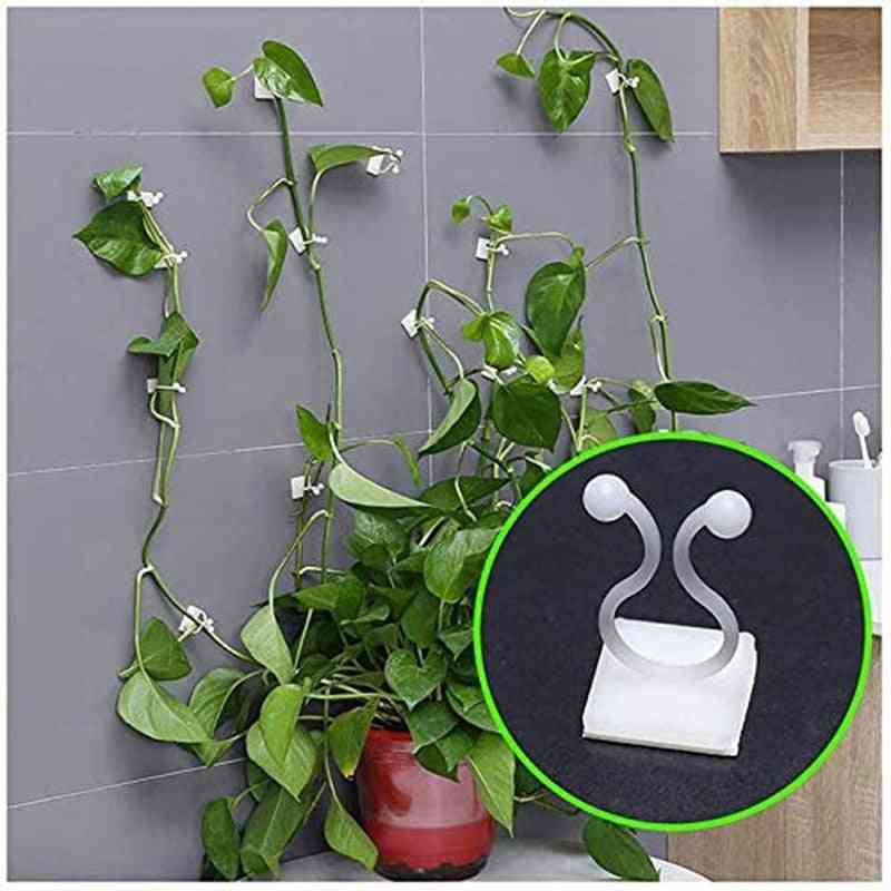 Invisible Wall Vines Fixture Sticky Hooks Plant Fixer Climbing Clip