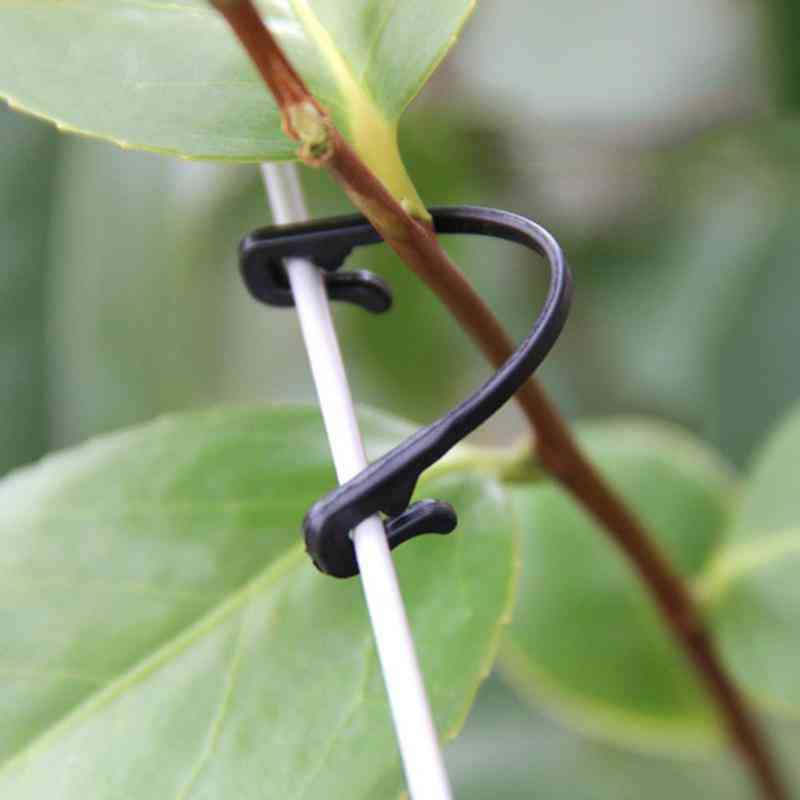Wall Rattan Clamp Clip, Plant Climbing Vines Fixture Sticky Hook Holder