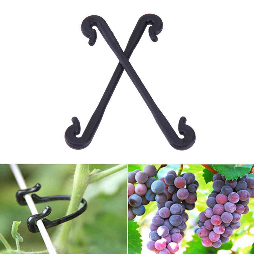 Wall Rattan Clamp Clip, Plant Climbing Vines Fixture Sticky Hook Holder
