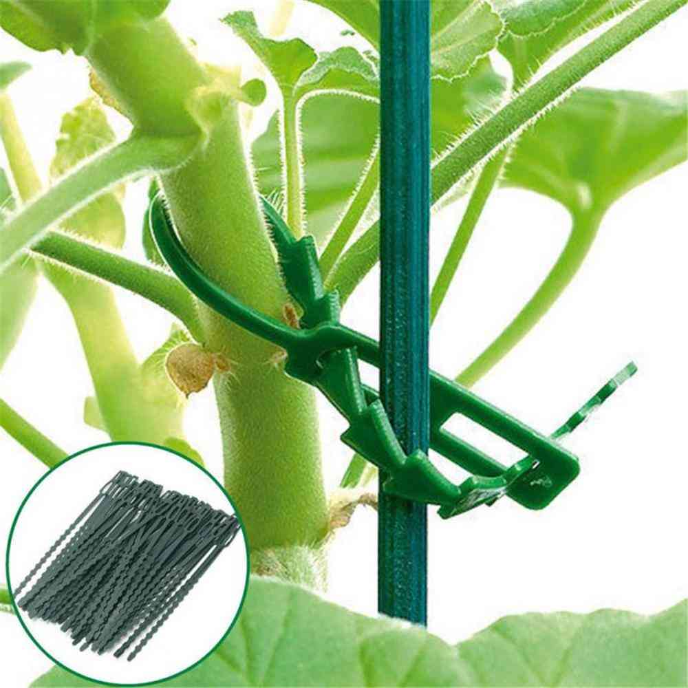 Reusable Plastic Cable Ties For Plant Vine Tomato Stem Clips
