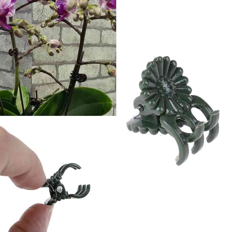 Clip da giardino in plastica, speciale per clip di vite per piante da innesto, strumento di giardinaggio per bundle di supporto per stelo di orchidea