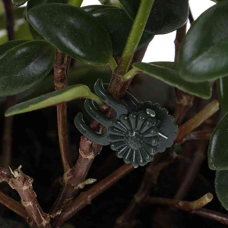 Plastikowy klips ogrodowy, specjalny do przeszczepów roślin winorośli klipsy orchidea wsparcie pakiet narzędzie ogrodnicze