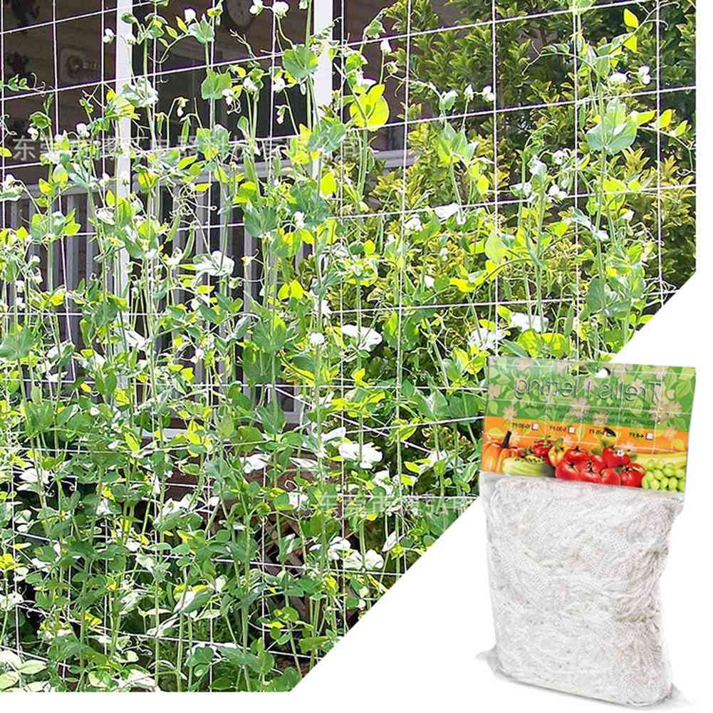Plant trellis netten polyester ondersteuning wijnstok klimmen hydrocultuur tuinnet accessoires
