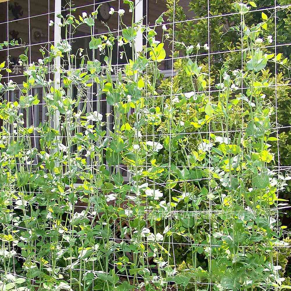 Plant trellis netten polyester ondersteuning wijnstok klimmen hydrocultuur tuinnet accessoires