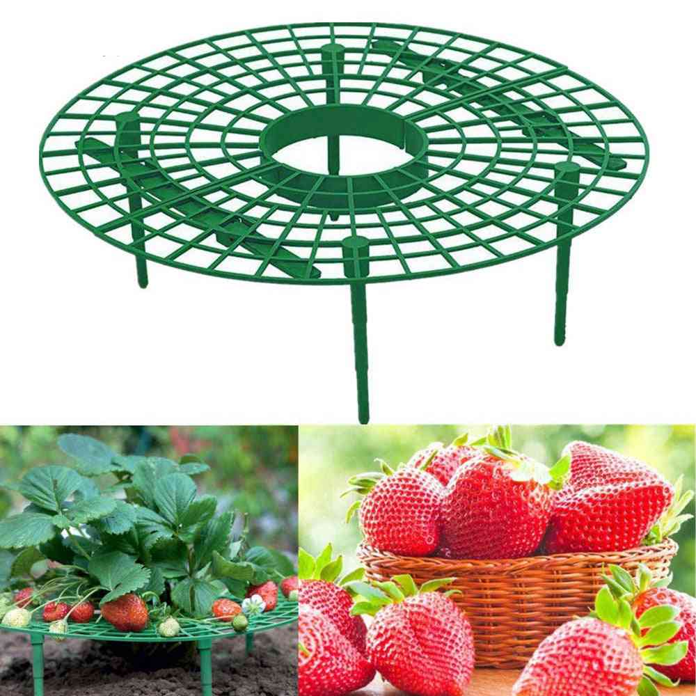 Suport căpșun suport cadru suport pentru plantare balcon