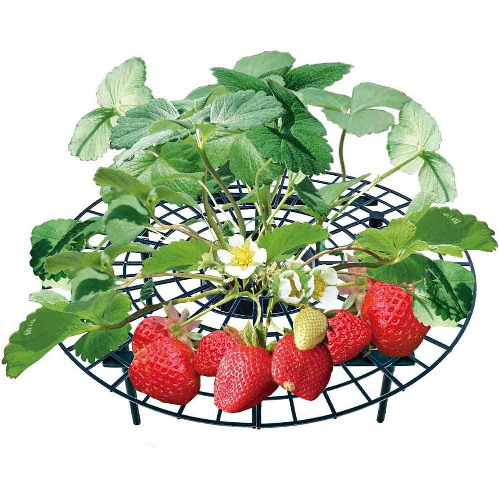 Strawberry Stand Frame Holder Balcony Planting Rack