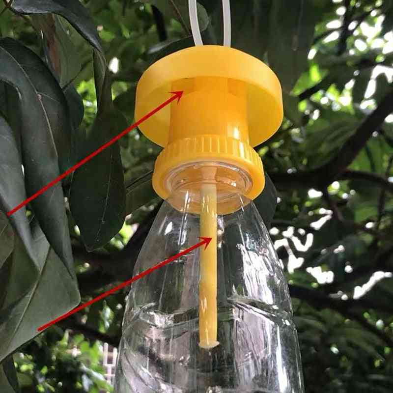 Fruit Fly Trap Cover